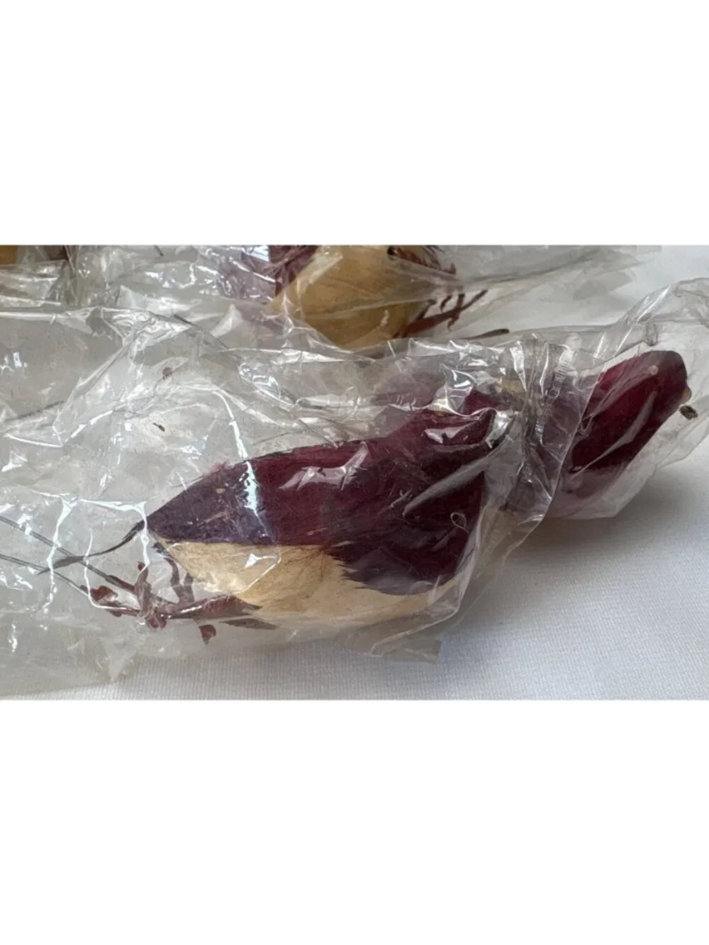 Vintage Feathered Birds Set of 12 Hong Kong 3